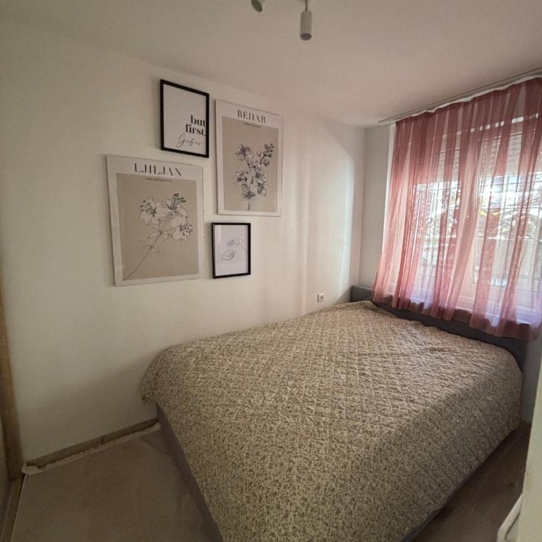 Cherry Hill - Apartman sa 2 Spavaće Sobe - 5