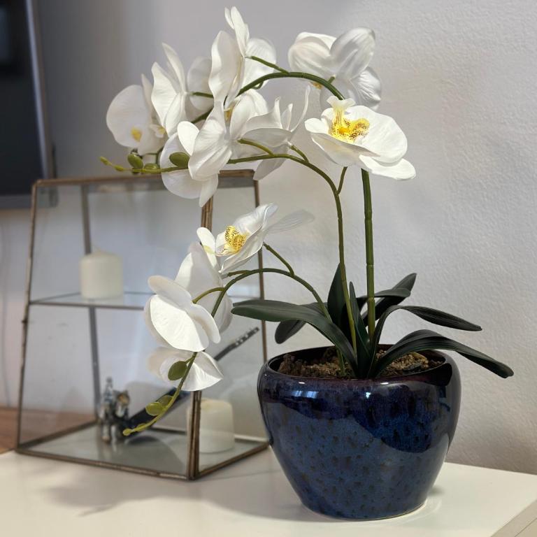 Apartman Radmanović - Free Private Parking, Balcony, 10 min to City Center - Apartman sa 1 Spavaćom Sobom - 6
