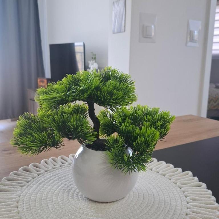 Apartman Srećko Lux - Two-Bedroom Apartment - 12