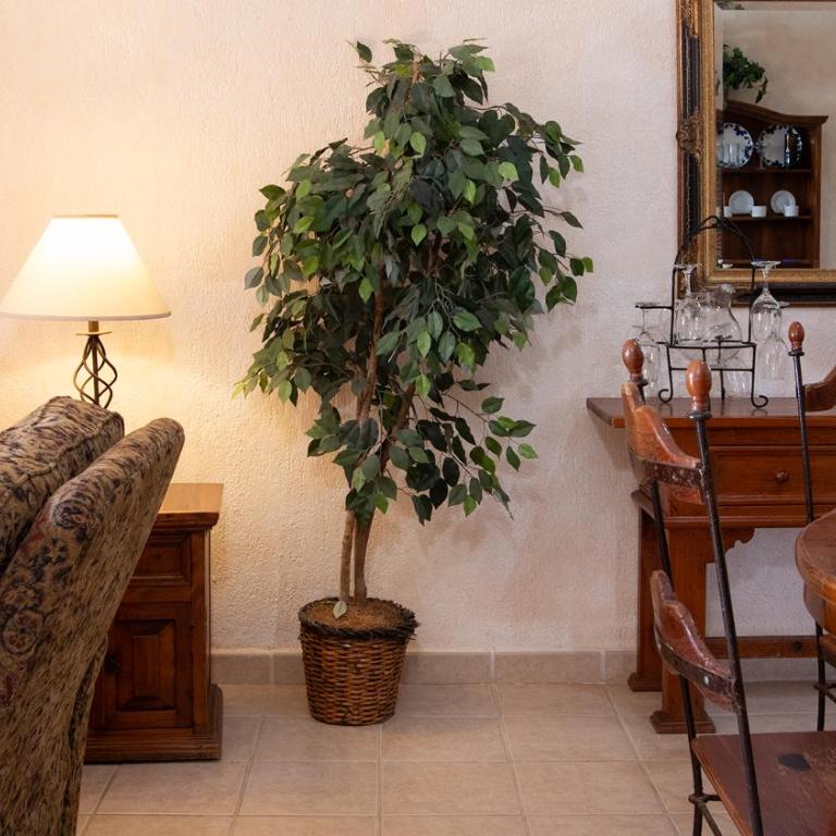 Rest Ashored Bright Spacious Facing Sandy Beach Condo - Casa - 3