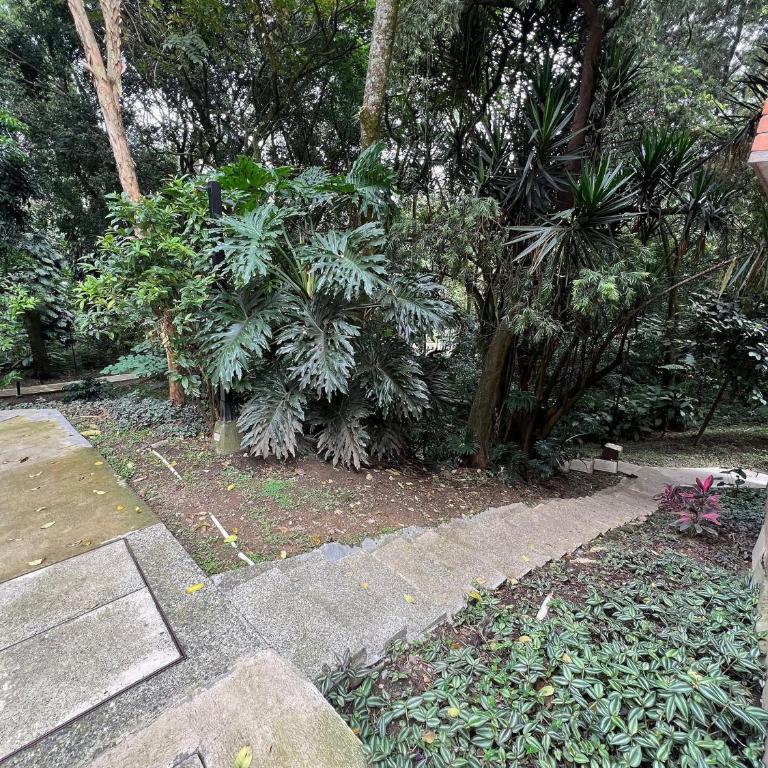 Poblado Del Campestre 203 - Confort y exclusividad - Apartment - 38