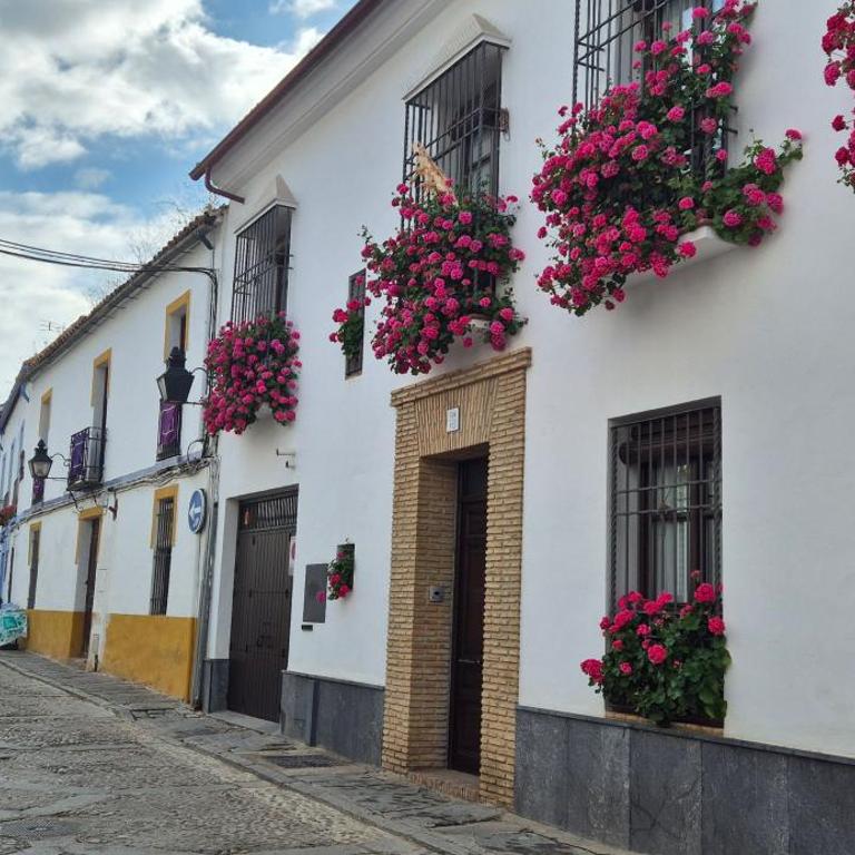 Puerta a los Patios - Apartamento de 3 dormitorios - 28