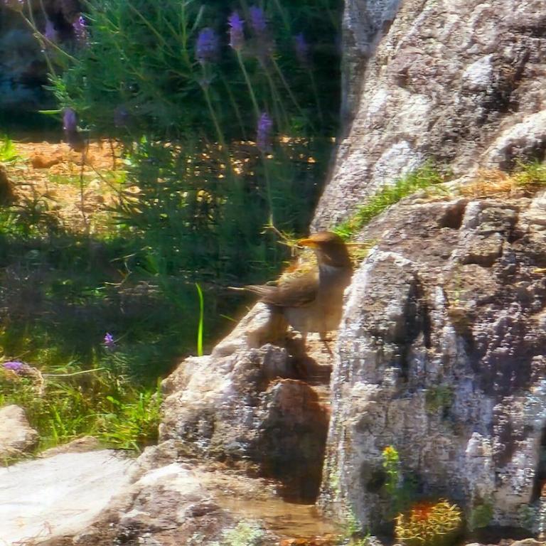 NEW! Casa de campo con diseño - Casa Armonia Uruguay - Habitación Doble con vistas al parque - 18