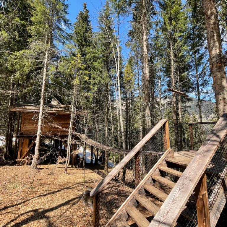 Cabane entre terre et ciel - Cabane dans les Arbres Ruisseau - 5