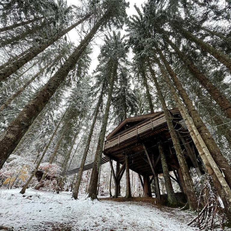 Cabane entre terre et ciel - Cabane dans les Arbres Ruisseau - 7