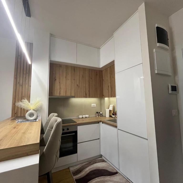 Apartman Jana - Apartman sa 1 Spavaćom Sobom - 9