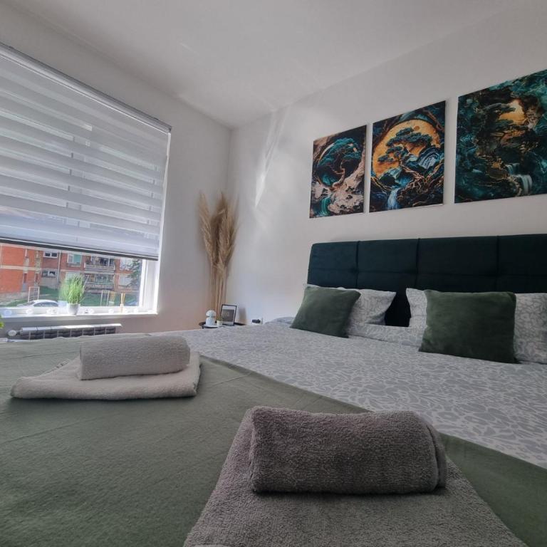 Apartmani DS - Apartman sa 1 Spavaćom Sobom - 1