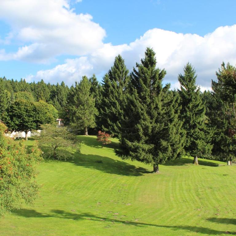 App mit Klima, Pool, Garage für Auto, Bike, Skier inkl AktivCARD bayerischer Wald - Apartamento con balcón - 31