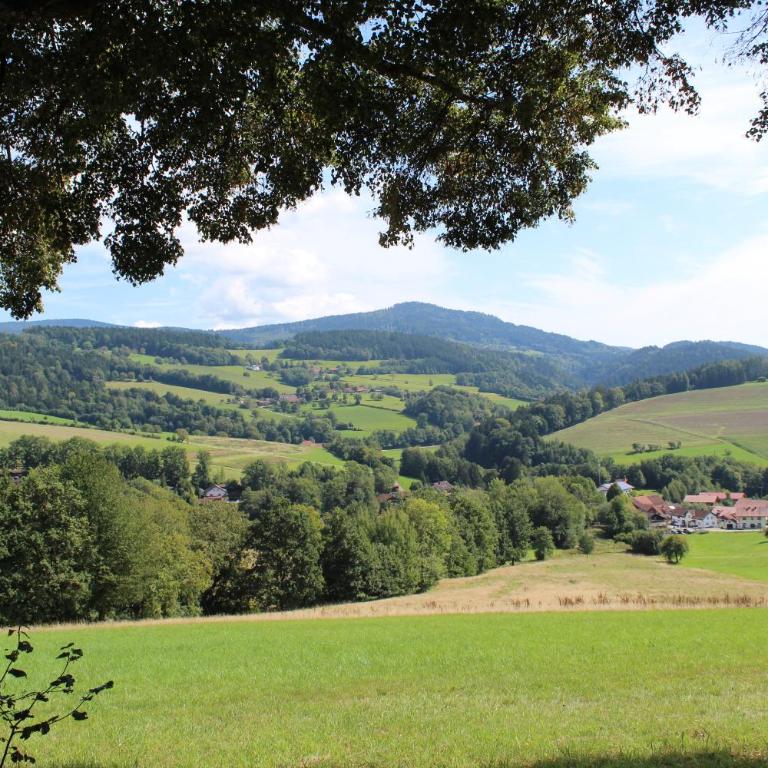 App mit Klima, Pool, Garage für Auto, Bike, Skier inkl AktivCARD bayerischer Wald - Apartamento con balcón - 33