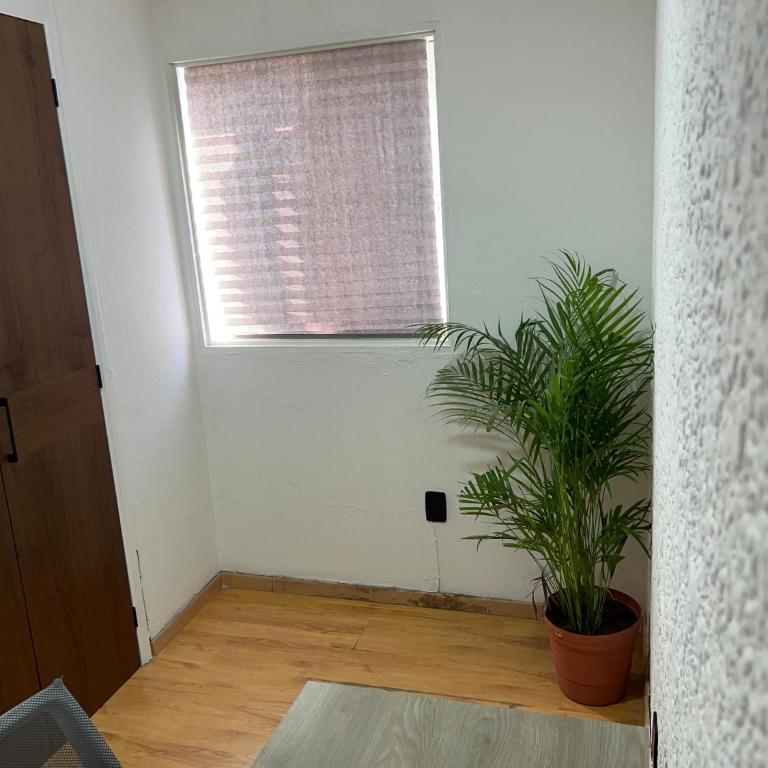 Departamento Guadalajara Expo Downtown Chapultepec - Two-Bedroom Apartment - 18