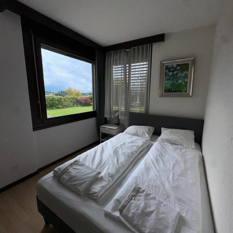 Beautiful apartment near Luzern, view to Rigi,Pilatus Mountain - Apartment mit 2 Schlafzimmern und Bergblick - 3