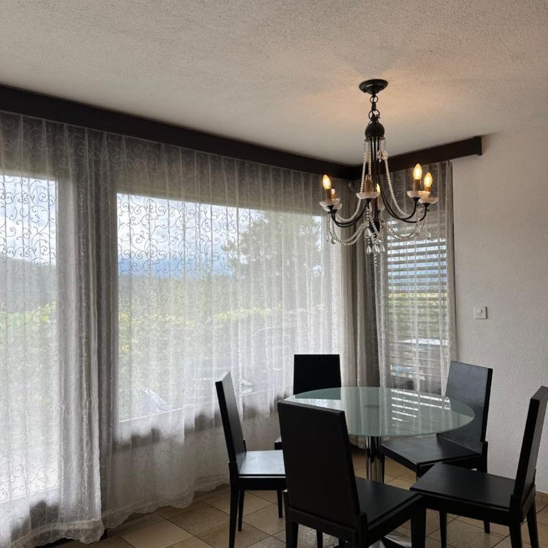 Beautiful apartment near Luzern, view to Rigi,Pilatus Mountain - Apartment mit 2 Schlafzimmern und Bergblick - 15