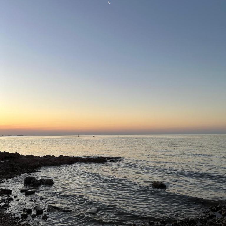Relax in New Andalucía- Tu refugio costero con pileta - Apartamento de 1 dormitorio con balcón - 1