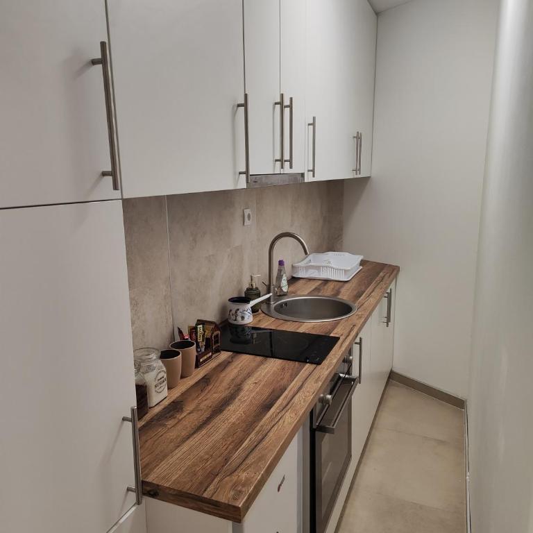 Konstantin Apartment - One-Bedroom Apartment - 13