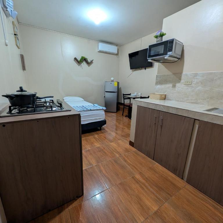DonwTown Suites - One-Bedroom Apartment - 2