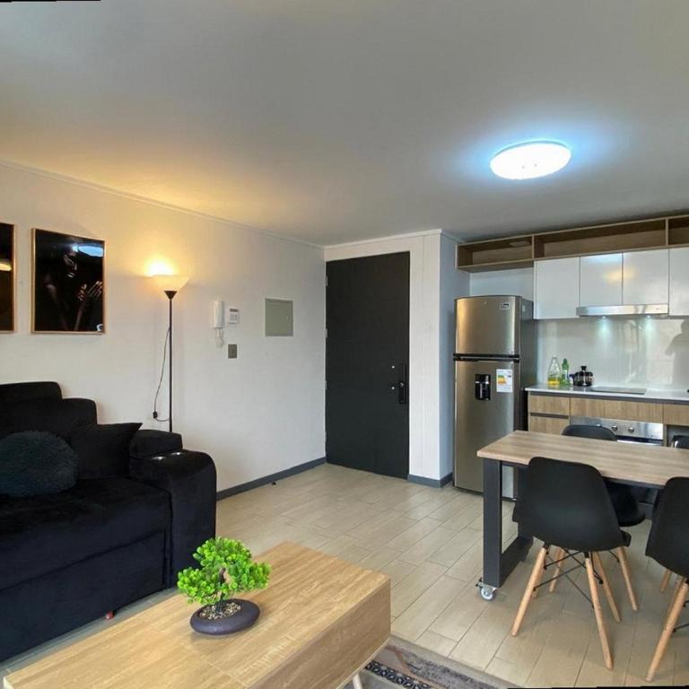 Apartamento Santiago de Chile, Sofá cama, Lavandería - Apartamento de 1 dormitorio - 5