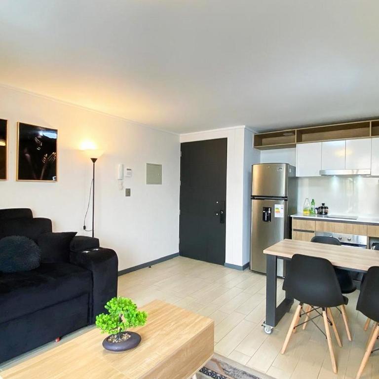 Apartamento Santiago de Chile, Sofá cama, Lavandería - Apartamento de 1 dormitorio - 20