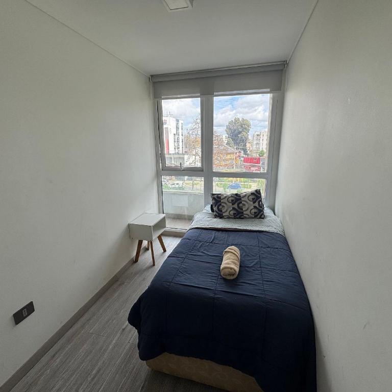 Edificio Stepke - Two-Bedroom Apartment with Balcony and Terrace - 17