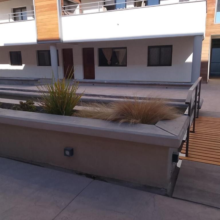 Parador de Chacras Suite - Apartamento de 1 dormitorio - 25