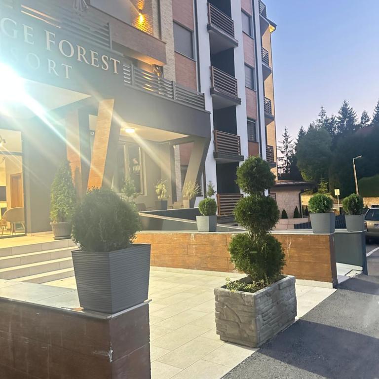 Prestige Forest Resort Zlatibor Wellness & Spa - One-Bedroom Apartment - 35