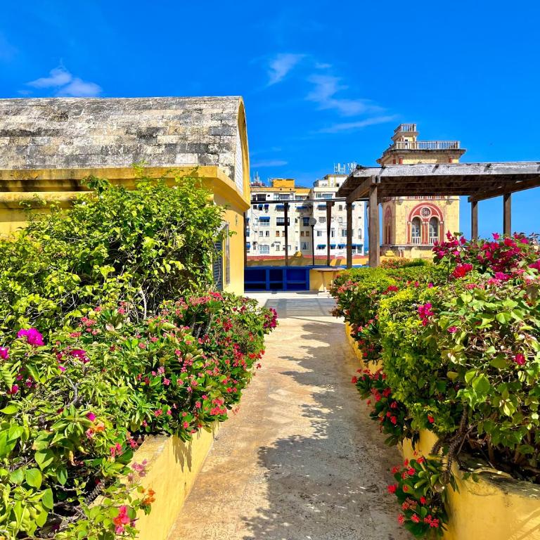 Calamari Homes - El Porvenir 305 - Walled city - Two-Bedroom Apartment - 3