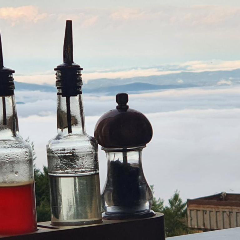 Apartmani Kasandra Wellness Spa A203 President Kop Kopaonik - Apartman sa 1 Spavaćom Sobom - 55
