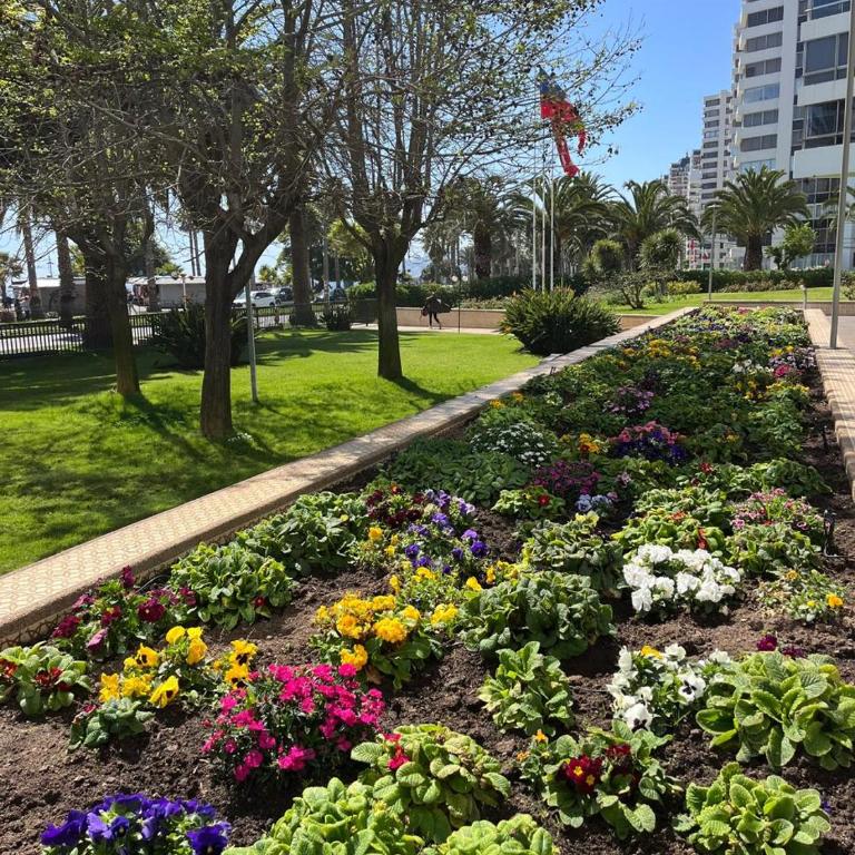 Dpto frente al muelle con piscina - Apartamento de 1 dormitorio - 6