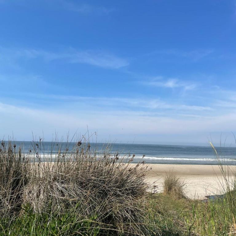 The Green House 1 - Casa de 2 dormitorios - 5