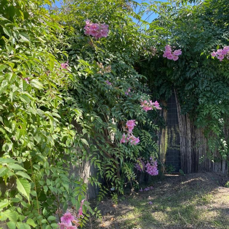 The Green House 1 - Casa de 2 dormitorios - 16