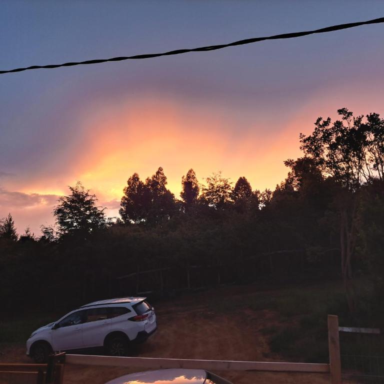 Cabaña Acogedora con Vista al Rio Valdivia, Niebla - Three-Bedroom House - 31