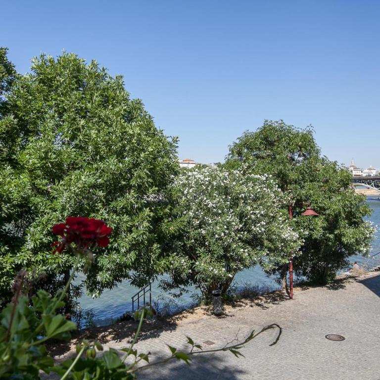 SevillaHome - Bonito Piso Junto al Rio - Apartamento - 3