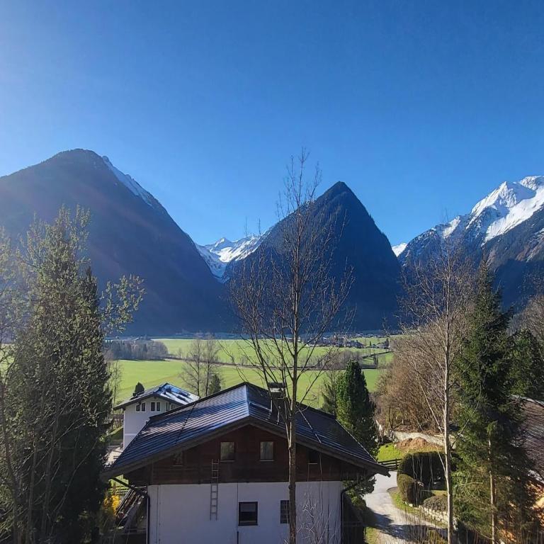 Apartment in Hohe Tauern with Mountain Views - Apartment mit 3 Schlafzimmern - 19