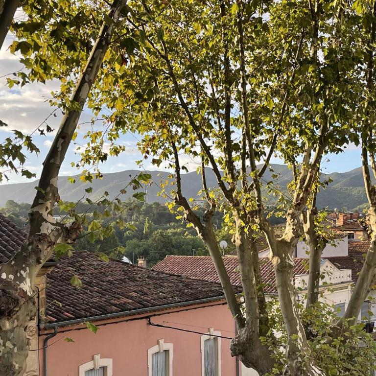 Le Coeur de Lamalou - Appartamento con 1 Camera da Letto e Balcone - 17