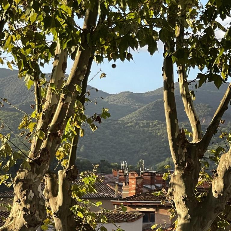 Le Coeur de Lamalou - Appartamento con 1 Camera da Letto e Balcone - 18
