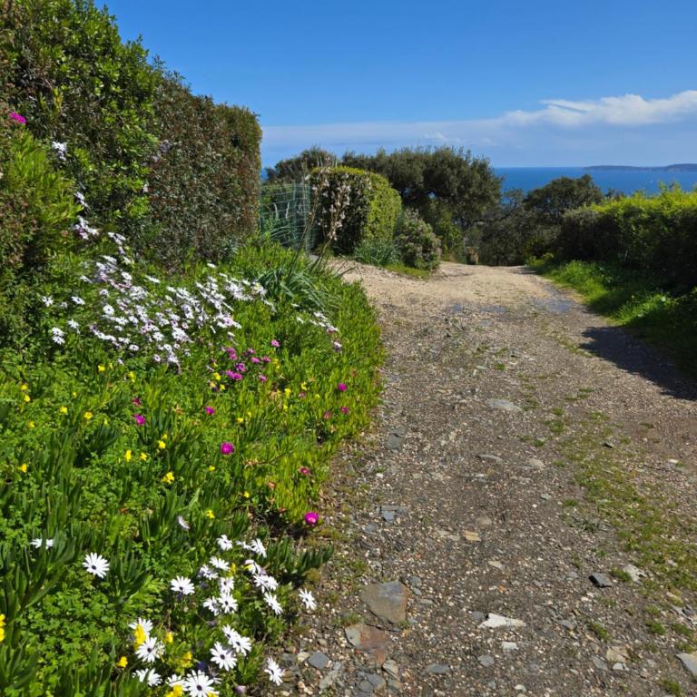 Appartement 4 personnes dans domaine privé, calme, plage - Appartamento con 1 Camera da Letto - 45