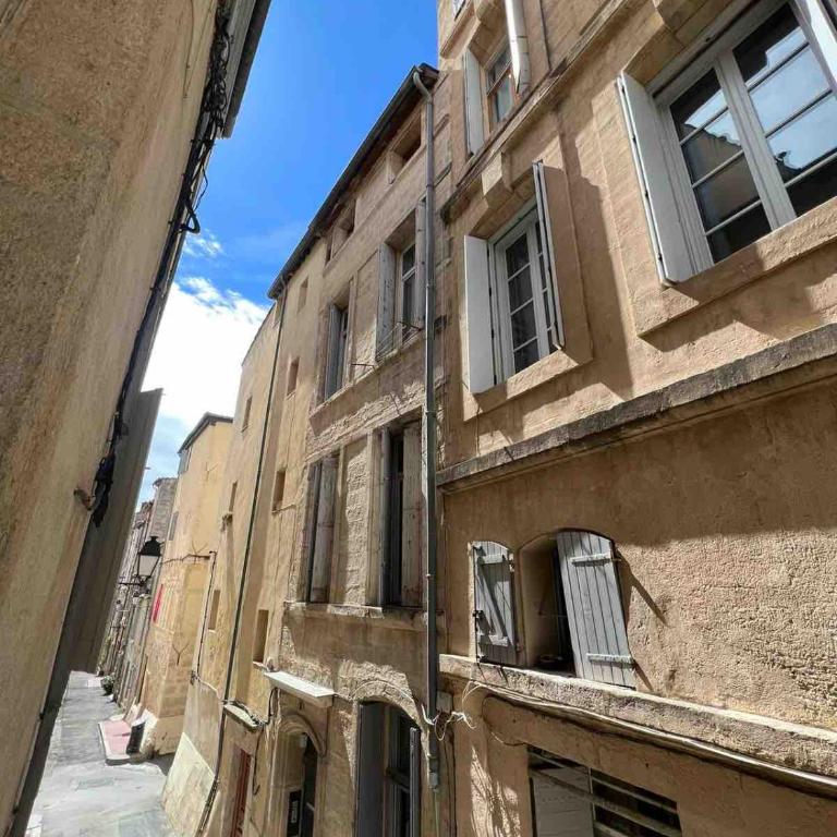 Le Sépulcre - Plein Centre Montpellier - Charme - One-Bedroom Apartment - 23