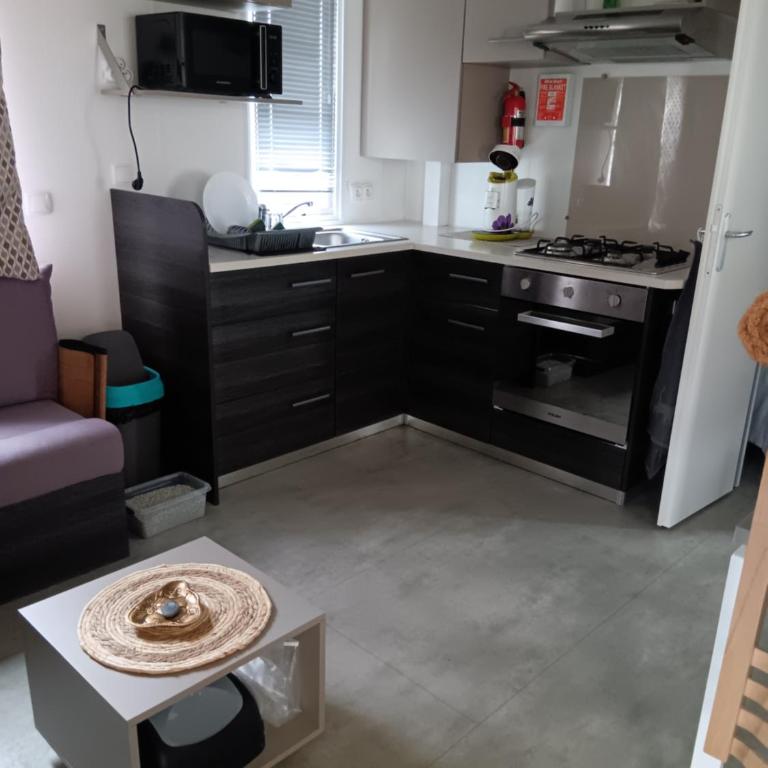 Mobilhome a la deco zen camping sur soulac - Mobile Home - 4