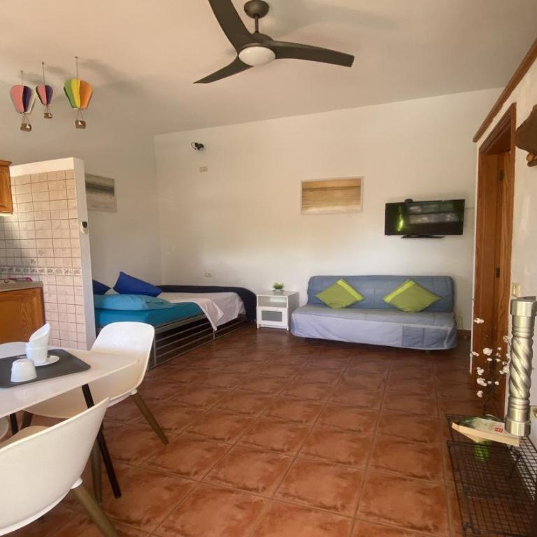 La Lonja 2 - Estudio con terraza - 21