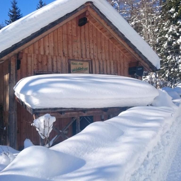 Knödl-Alm Waldhäusl - Haus mit 1 Schlafzimmer - 30