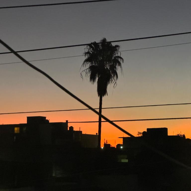 Casa CHESTER - Apartamento de 2 dormitorios - 3