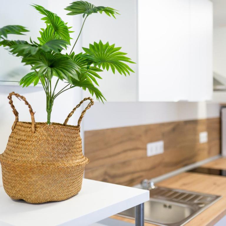 Apartamento céntrico en Santa Lucía - Two-Bedroom Apartment - 3