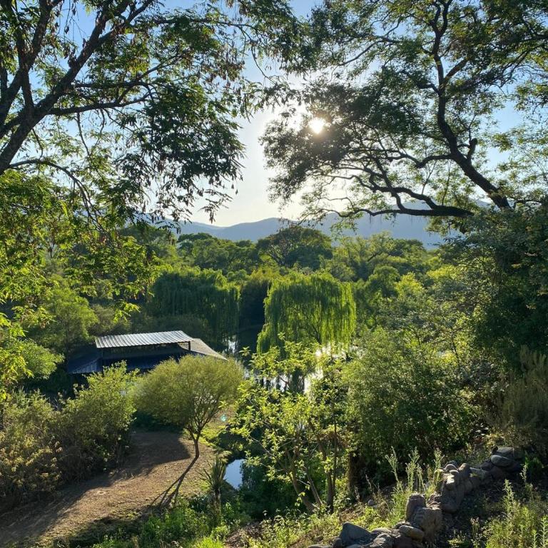 House of culture and meetings - Four-Bedroom House - 53