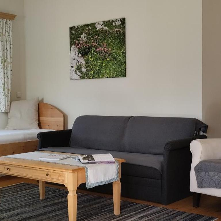 Landhaus Knödl-Alm - Apartment mit Terrasse - 8