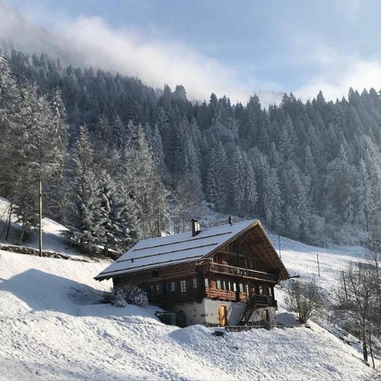 Chalet La Frassonayaz - Four-Bedroom Apartment - 18