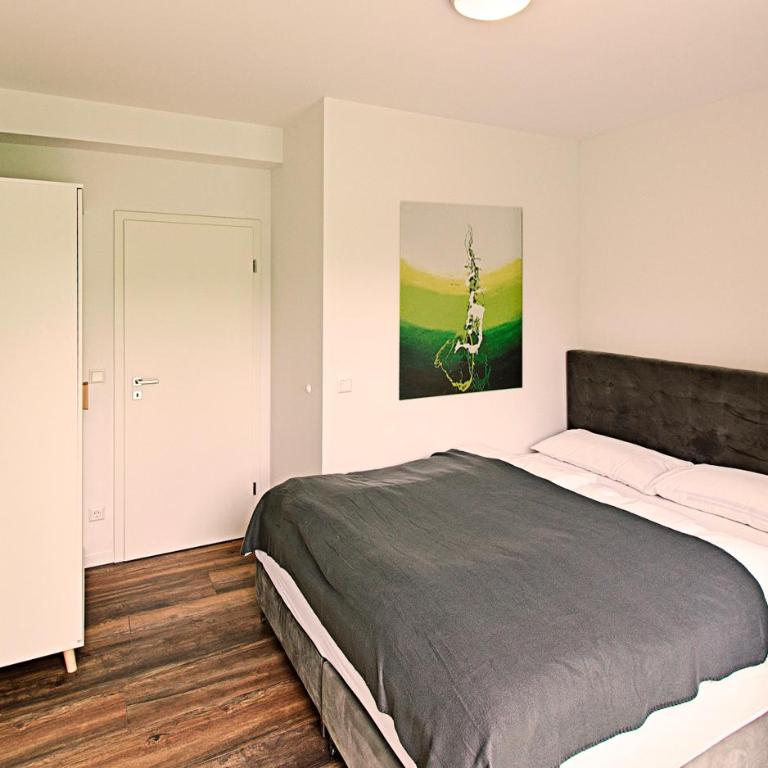 Eco Smart Apartments Nürnberg Süd - Supreme Apartment mit 2 Schlafzimmern, Wohnzimmer und Terrasse - 6