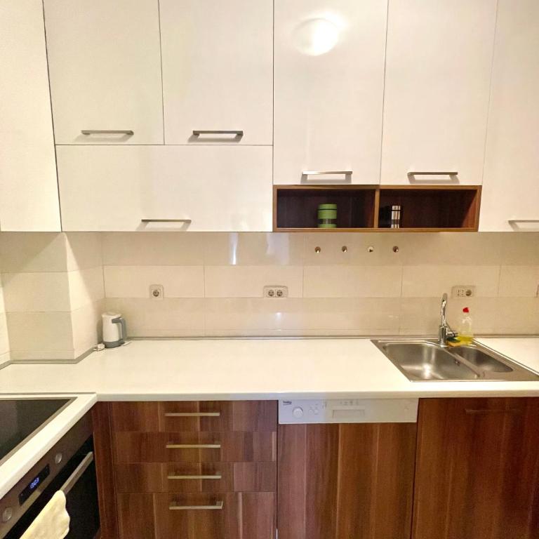 Podgorica Apartment Center - Apartman sa 2 Spavaće Sobe i Pogledom na Grad - 4