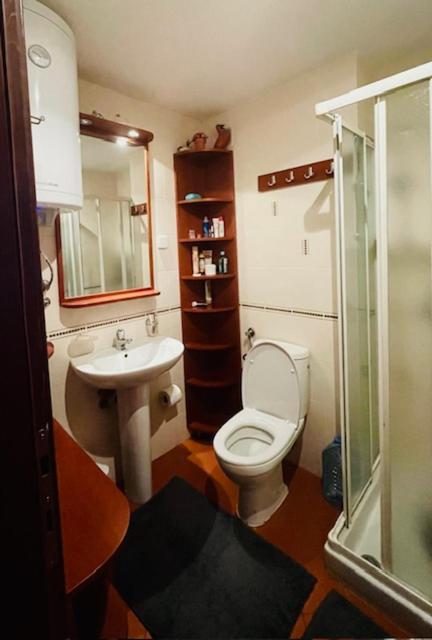 Cozy Bianca Studio - One-Bedroom Apartment - 7