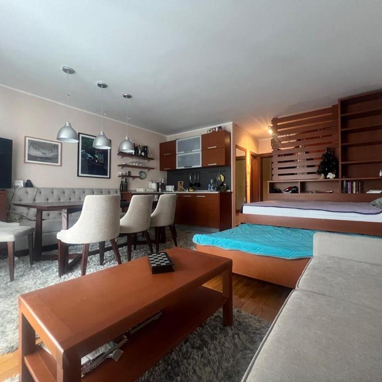 Cozy Bianca Studio - One-Bedroom Apartment - 11
