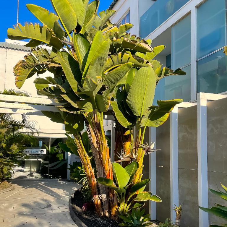 Poolside Paradise by Best Holidays Fuerteventura - Apartamento de 1 dormitorio - 40