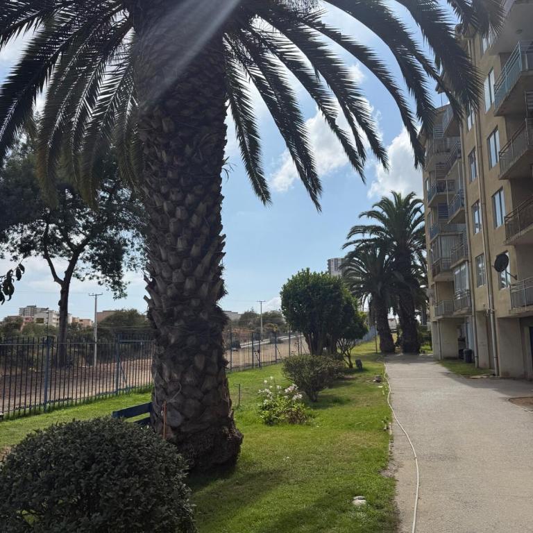 Hermoso Depto Alto del Mar - Three-Bedroom Apartment - 8